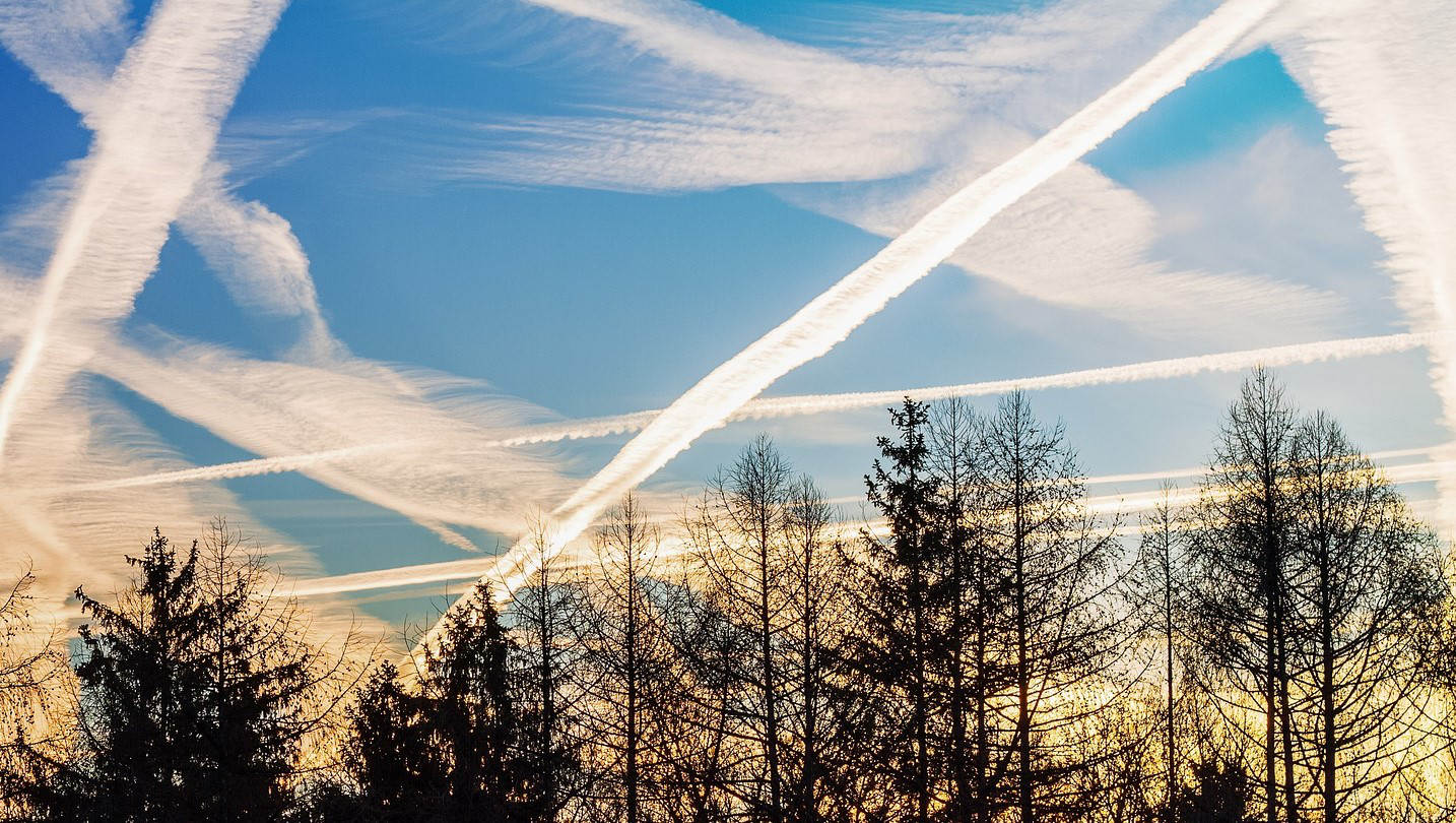 Crisscrossing white trails in the blue sky above silhouetted trees, often mistaken for chemtrails