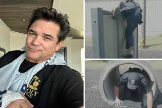 Dean Cain sidelined with injury after joining ICE