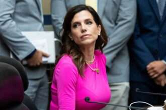 Nancy Mace at a congressional hearing wearing a pink dress.