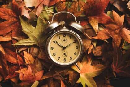 Vintage alarm clock resting on autumn leaves.